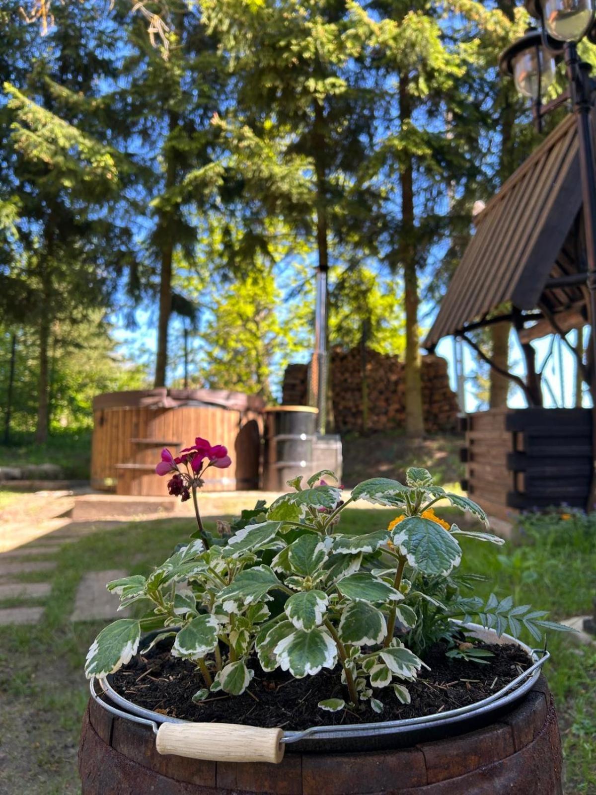 Apartamento Dobrze Mi Tu-Kikity Exterior foto